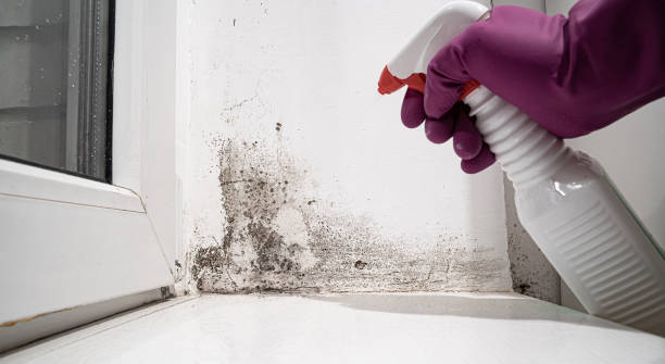 Reliable Lakewood, OH Water damage restoration Solutions